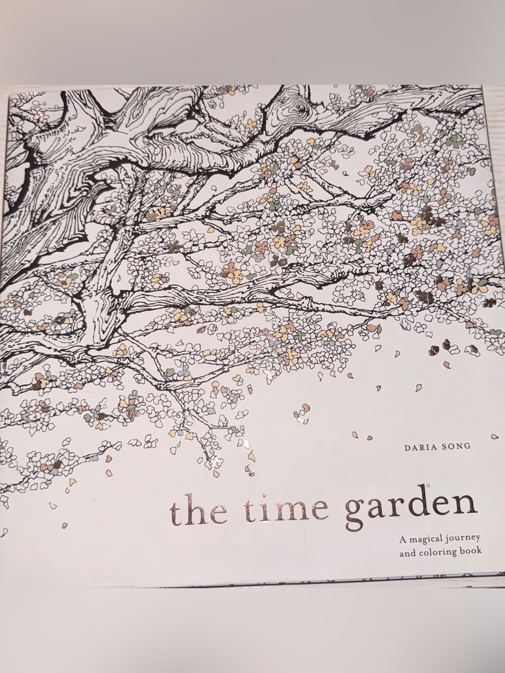 The Time Garden adult coloring book - Daria Song